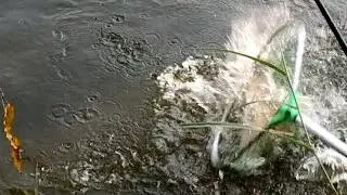 viral fishing in the village amazing traditional bd fishing