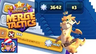 🔥🔥Merge Tactics Ranked Push!!!🔥🔥