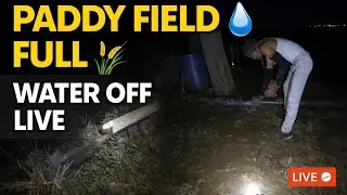 Paddy Field Water Filled LIVE 🌾💧 | ડાંગર વાળા માં પાણી ભરાઈ ગયું – હવે બંધ કરીએ | Khedut Life