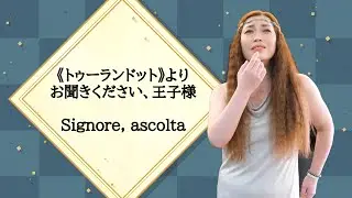 【歌ってみた】《トゥーランドット》より 