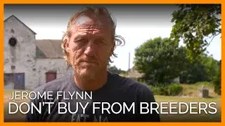 'Game of Thrones' Fans, Listen Up&mdash;Jerome Flynn Has an Urgent Message