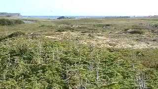 1000 AD Viking village, Newfoundland