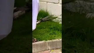 GRASS SCISSORING 😍 (#TheRealSS)