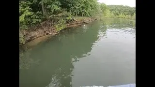 Stockton Lake Fishing, Largemouth, Smallmouth + A Couple Bonus Fish