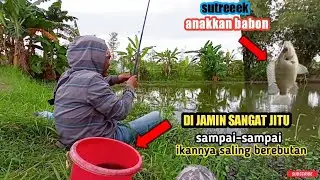 MANCING IKAN NILAI NGGAK NYANGKA IKAN SANGAT BANYAK || ANDONG FISHING OFFICIAL