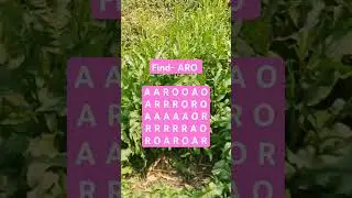 Observation Visual Test: 5 Seconds ForYou To Spot ARO. Try Your Skills! #search #puzzle #shorts