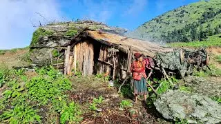 Very Beautiful peacefully Village Life styles Articles about Goat Herding Life in Nepal|HariRokaya |