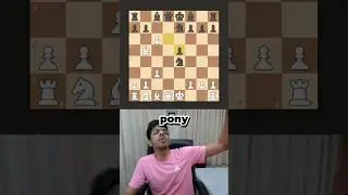 Checkmate in 12 Moves with the Beginner Opening