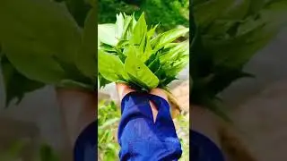 Dhading Nepal Explore ( Beauty of Nepal )