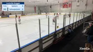 EDP Spiders vs Crystal Lake Yellowjackets - Consolation