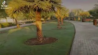 Doha Qatar. please like sher