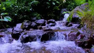 Mountain River Water Flow Sounds for Study, Work, and Deep Focus Sessions