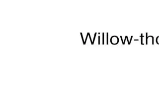 How to pronounce Willow-thorn