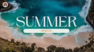 Summer Breeze | Harmony Highway | Reggae Dance Fusion | Sassy Vibes & Chill Rhythms