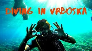 Scuba Diving off a Croatian Island | Hvar Divers Vrboska | Fostered Culture (2019)(4K)