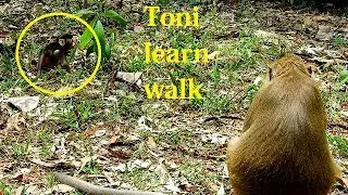 Tara keep baby learn walk alone, Toni still walks with shaking body