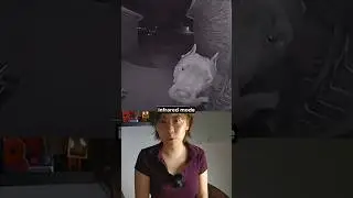 When Lightning Tricks CCTV: A Technicolor Transformation!
