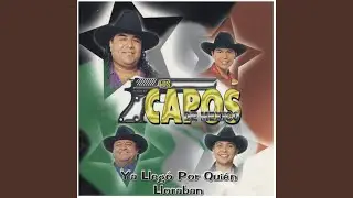 Ya Llegó por Quién Lloraban