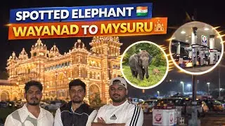 Mysuru Palace| Elephant  spotting| Edakkal Caves | car stay| Day 6kerala#youtube