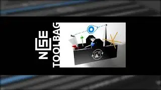 NCSE Tolbag