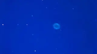 Deep sky objects live through my telescope. 6/2/21 part 1