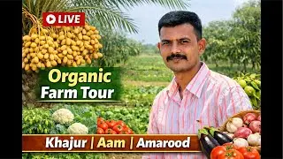 Ek Khet Me Itni Fasle? 😲 | Organic Khajur, Aam, Amarood, Sabjiya…Farming