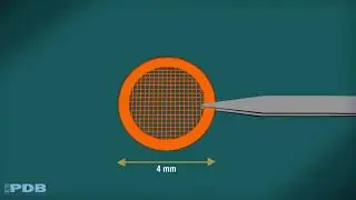 Methods for Determining Atomic Structures: 3D Electron Microscopy (from PDB-101)