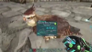Legends of Ark PvE server exploring The Center.  Come Chat & Chill