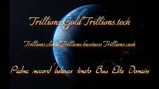 Trillions.gold Trillions.tech Trillions.business Trillions.cash Padma McCord Enterprises LLC Owner