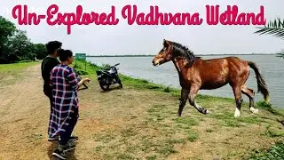 II Gujarat