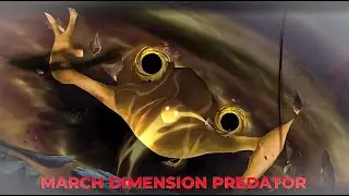 MARCH DIMENSION PREDATOR GUIDE! (Summoners War)