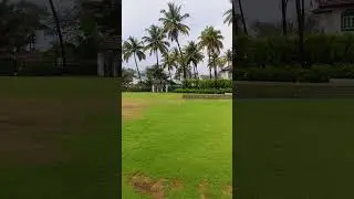 First stay #nanu beach resort #betalbatim #goa #mansoon #bestview