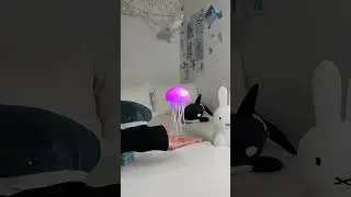 Watch jellyfish float, glow, and mesmerize &mdash; it&rsquo;s like having an aquarium in your room without the