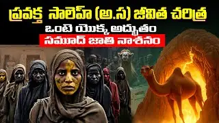 ప్రవక్త సాలెహ్ (అ.స) జీవిత చరిత్ర - సమూద్ జాతి  | Prophet Saleh (AS) Story | Telugu Islamic bayan