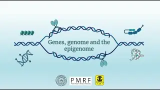 Week 2 : Genes, genomes and the epigenome