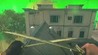 Call of Duty&reg;: Modern Warfare dual swords game