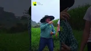 ESTRELLA Siembra, Corte, Fertilizaci&oacute;n