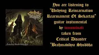 CRITICAL DISASTER-Undying Reincarnation Rearmament of Sekartaji  (Guitar Instrumental by innuminati)