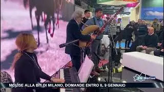 Molise alla Bit di Milano, domande per partecipare entro il 9 gennaio