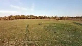 700 Size gasser heli kit / 23cc. first flight