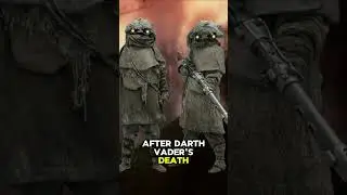 Who is Kylo Ren fighting on Mustafar?