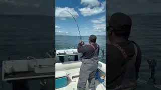 Catch and bbq puget sound possession bar ling cod