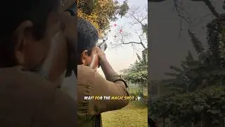 Pure Control 🎯 One Shot Dove Airgun #airgunhunting #dovehunting #oneshot #precisionshot #shorts