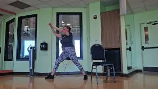Silver Sneakers Chair Yoga 
