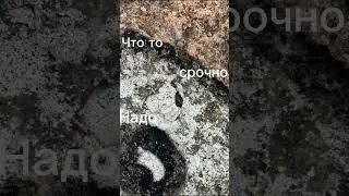 #fakebomb