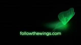 Lunesta, Green Glow.mov