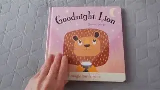 Torchlight Book - Goodnight Lion