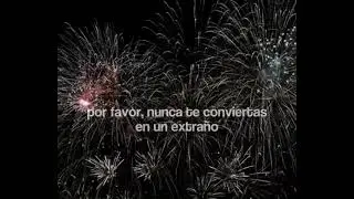 [ Taylor Swift ] - New Year&rsquo;s Day // Espa&ntilde;ol