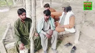 Chota Shah Comedy Committee Show 2025 | New Funny Video | Best Comedy Clip/