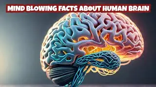 5 MIND-BLOWING Human Brain Secrets You Never Knew Existed